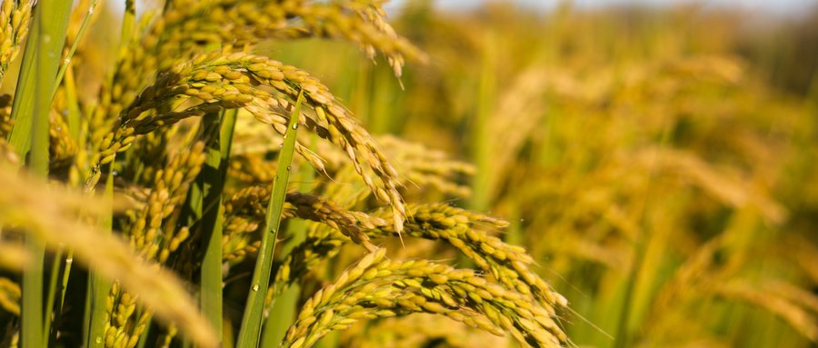 首页-OB视讯厅真人官方网站