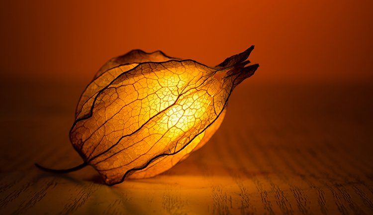 首页-OB视讯厅真人官方网站