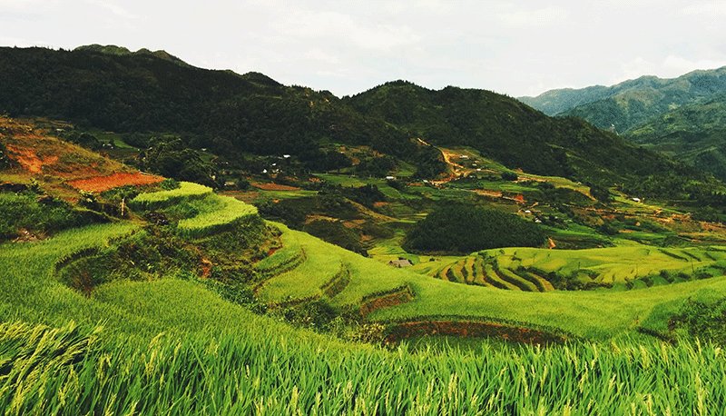 首页-OB视讯厅真人官方网站