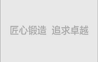 PP王者电子嘉峪关处事处12月10日成立